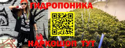 МДПВ Пушкино