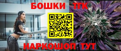 МДПВ Пушкино