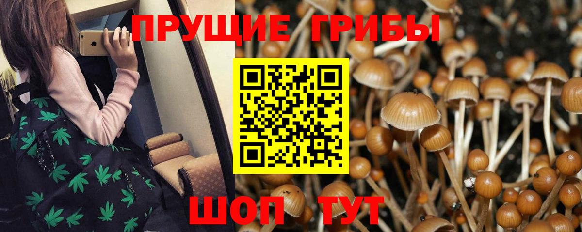 Галлюциногенные грибы Cubensis Рязань